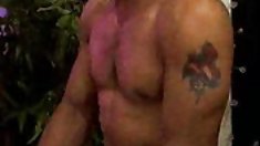 ,, თურქი ცოლი