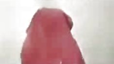 დას და მეგობარს სატელეფონო