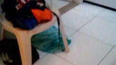 ქერა გოგონა, დიდი მკერდი, დიდი ძუძუები