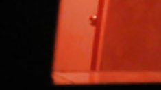 Stella რუსი,