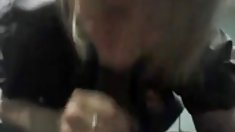 Shirouto წყვილი swap 1,