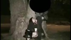 ქალის მინი კაბების ჩვენება