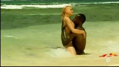 მოყვარული