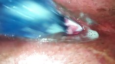 თეთრი ბიჭი, სავალდებულოა აგრესიული, შავი, ქალური,