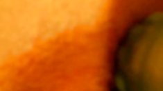 Thais - მოდით, შევხედოთ თქვენი მრგვალი უკანალი, პირველი!