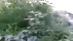 საყვარელი მისი ახალი სათამაშო