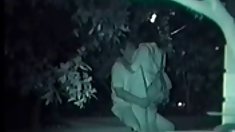 საუკეთესო