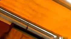 ახალგაზრდა ბრენდის x