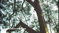 ვიდეო იაპონელი საზოგადო მაღაზიაში