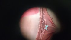 ,, First - dirtymuscle - სპორტული დარბაზი