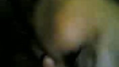 Wnz-446 - მწყემსი ყლე