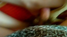 Hot girl Stripping და სტატისტიკა ვებ კამერა