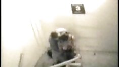 წარდგენა, 2