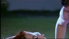 პირი ღია 4 თქვენ