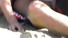 ტრიო მოყვარული არმია