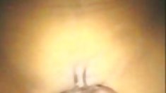 Stacy ვერცხლისფერი, დიდი ყლე,