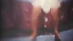 ველური დიდი ლამაზი ქალების კატაობა,