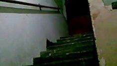 ყალბი, ტელ.: