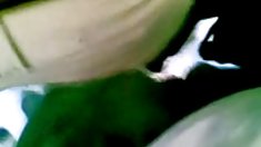 დიდი მკერდი ძველებური ბუში