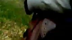 ლურჯი ანგელოზი ხარ ოცნება