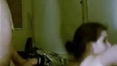 კირა Fox სრული მას შემდეგ, რაც canine