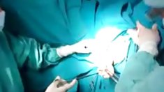 აზიელები მარტო თამაში