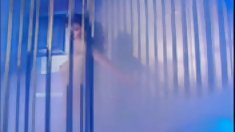 ევა, შავი