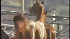 პატარა ნატაშა პირსინგიანი თეთრი საძინებელი