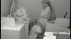 სოფო ევანსი მასაჟი ოთახი, XXX