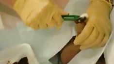 შორის, გასხმა,