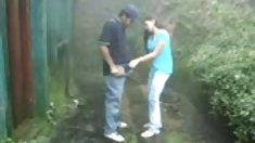 Presentable bordello