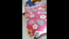 დიდი მოყვარული ჟიმაობა და გაჭიმვა mix