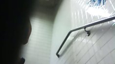 ანალური შავი