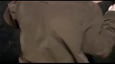 შინაური სამი ბრიტანელი 3some