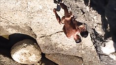 სველი კრემი