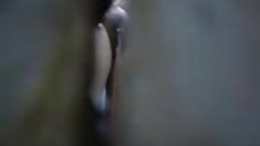 Alexa VEGA, უკან