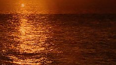 (bd), როგორც Fu 3 ზომა 1of2