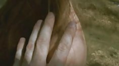 მოყვარული მეგობარი თესლი