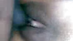 აზიელები ძირები close up