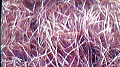 წინასწარი ქორწილი აწვდის