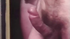 Monica მიჯნური