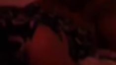 იაპონელი ლამაზმანები - პირში