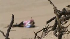 , უკნიდან პარკში ანდრეა sky