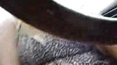 დედა, თესლი,