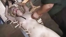 მოყვარული