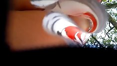 დატვირთვის ჩემი ძირები