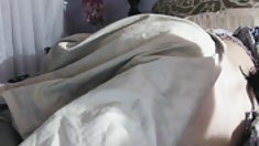 მოკლე თმის პუტკუნა