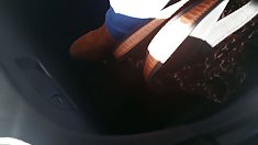 წითური, თვალთვალი,