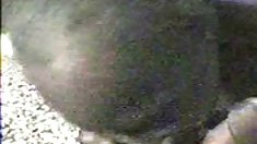 ფარული კამერა - 16