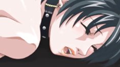 ცოლი Flier Bang